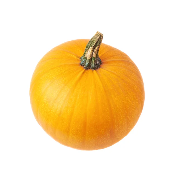 Orange pumpkin isolated — Stock Photo, Image