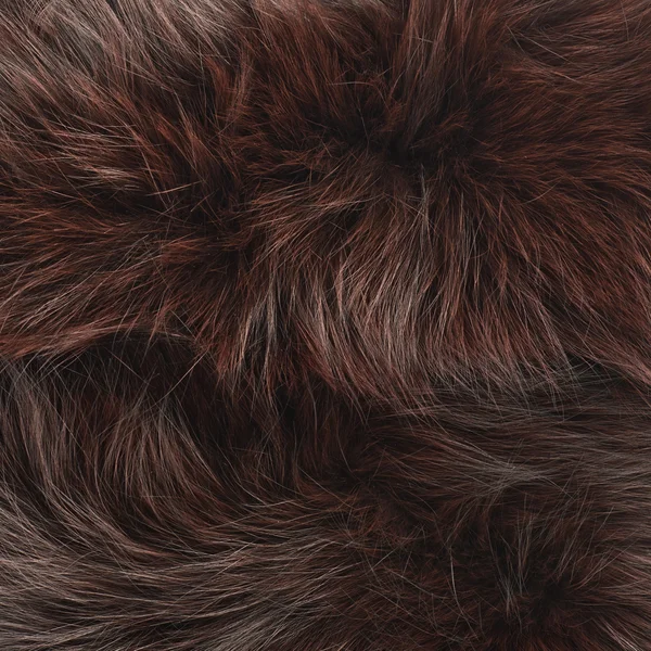 Brown fur texture — Stock Photo, Image