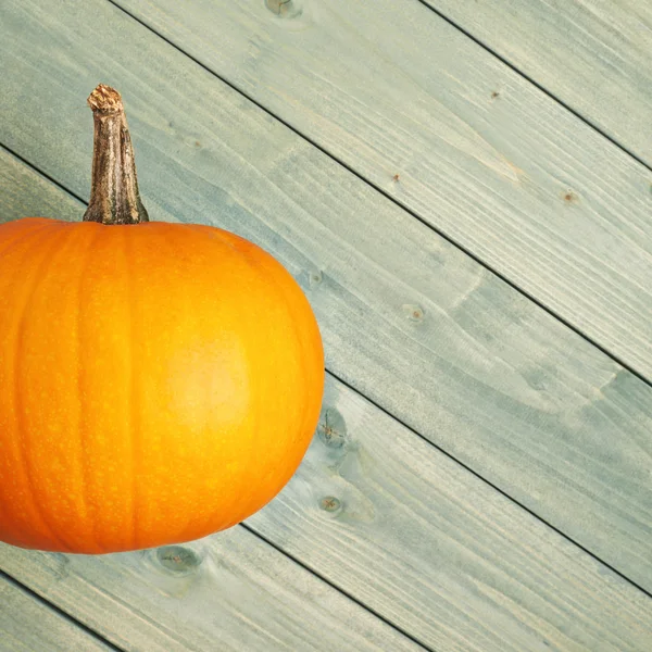 Pumpkin on  wooden boards — Stock Photo, Image