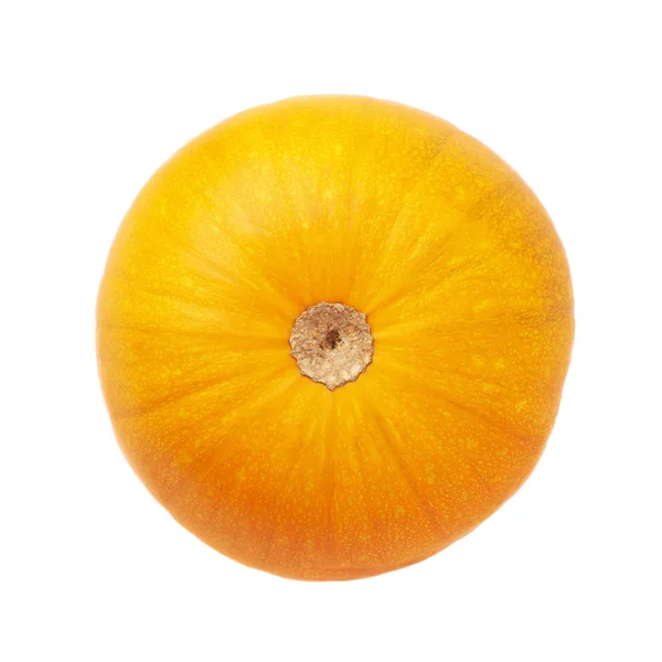 Zucca arancione isolata — Foto Stock