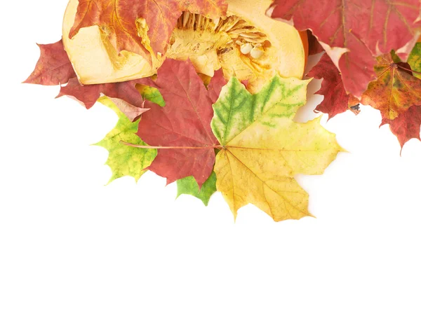 Pumpkin in maple leaves — Stock Photo, Image