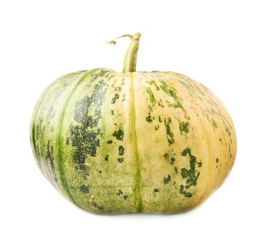 yeşil kabak izole
