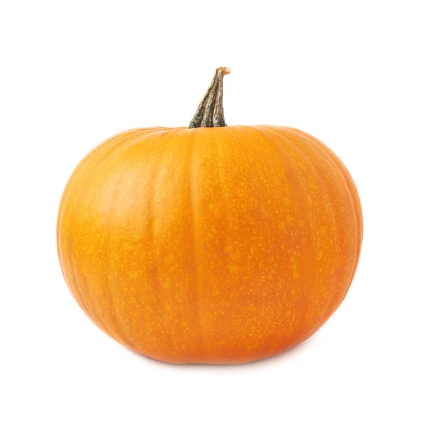 Zucca arancione isolata — Foto Stock