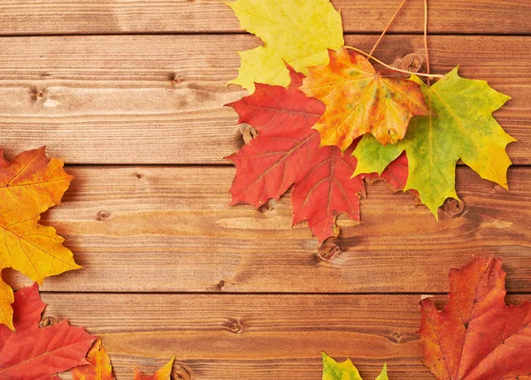 Maple leaves over the wooden boards — Stock Photo, Image