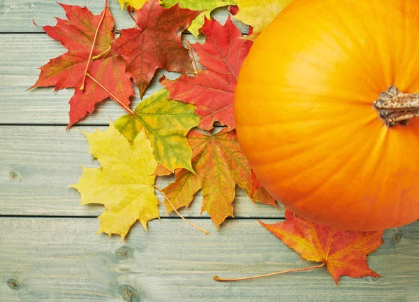 Orange pumpkin and maple leaves composition — Stock Photo, Image