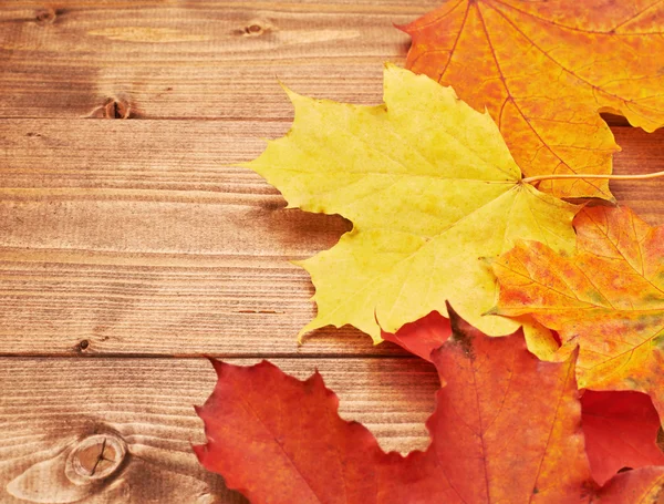 Maple leaves over the wooden boards — Stock Photo, Image