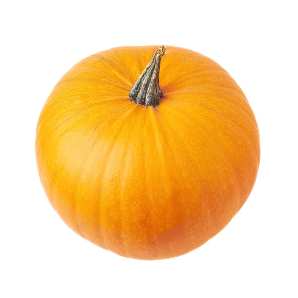 Orange pumpkin isolated — Stock Photo, Image