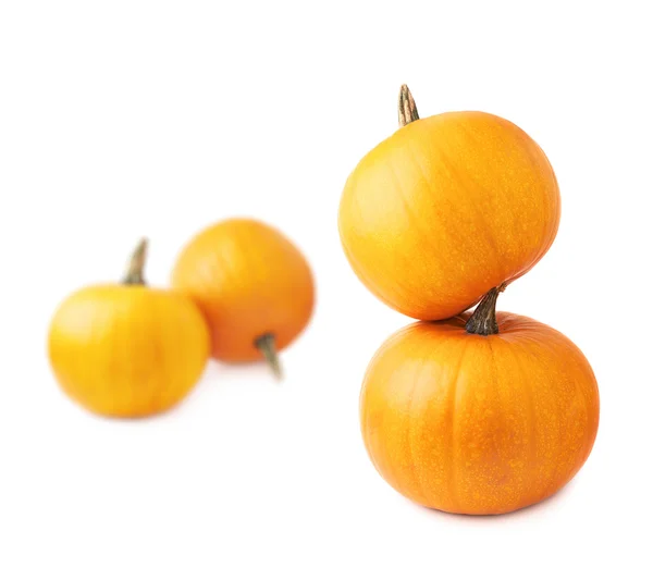 Orange pumpkin composition isolated — Stock Photo, Image