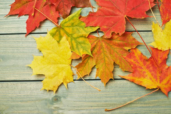 Feuilles d'érable sur les planches en bois — Photo