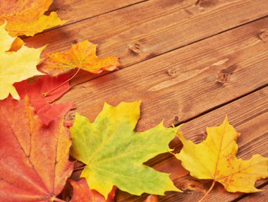 Akçaağaç ahşap Komiteler üzerinde bırakır