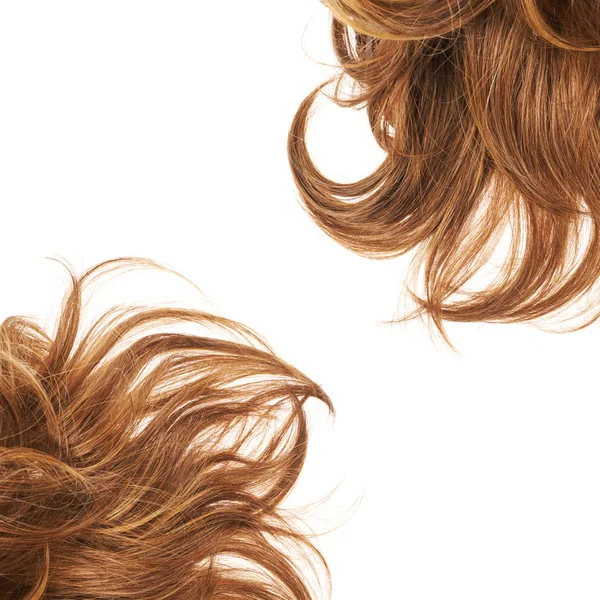 Hair fragment over the white — Stock Photo, Image