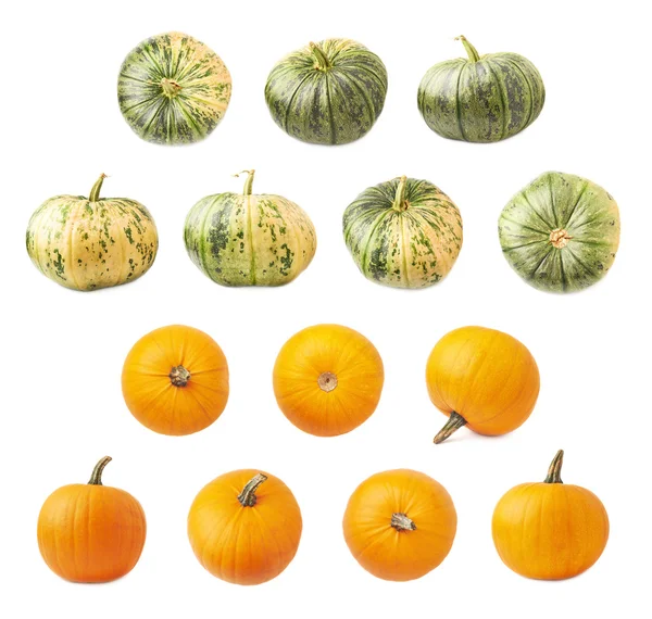 Orange and green pumpkins isolated — Stock Photo, Image