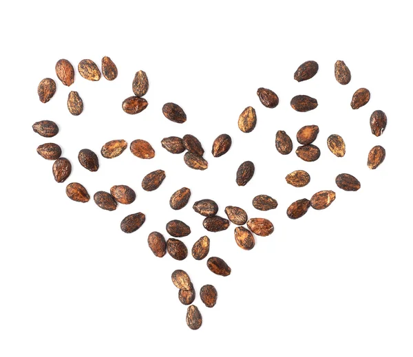 Heart shape made of watermelon seeds — Stock Photo, Image