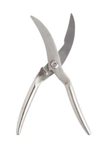 Secateurs fish metal scissors isolated — Stock Photo, Image