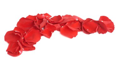 kırmızı gül yaprakları