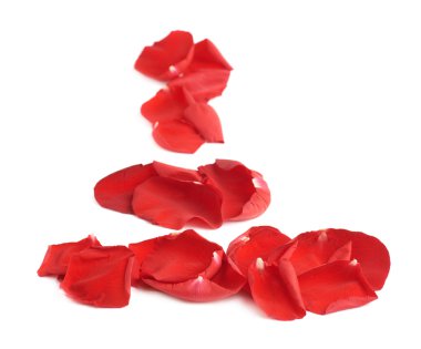 kırmızı gül yaprakları