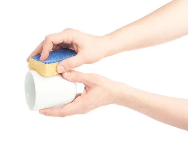 Hands washing white cup with sponge — Stock Photo, Image