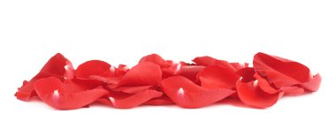 Kırmızı gül yaprakları kompozisyon