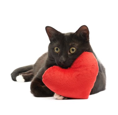 Kara kedi ve kırmızı kalp