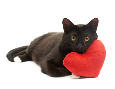 Kara kedi ve kırmızı kalp