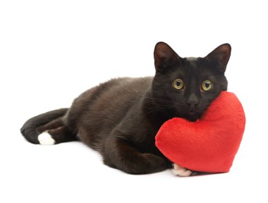 Kara kedi ve kırmızı kalp