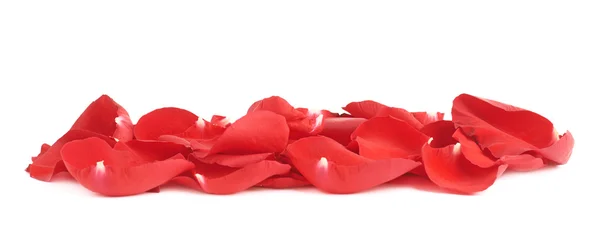 Composition des pétales de rose rouge — Photo