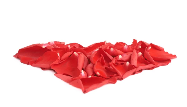 Heart shape rose petals — Stock Photo, Image