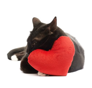 Kara kedi ve kırmızı kalp
