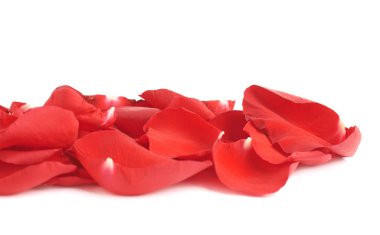 kırmızı gül yaprakları