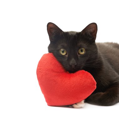 Kara kedi ve kırmızı kalp