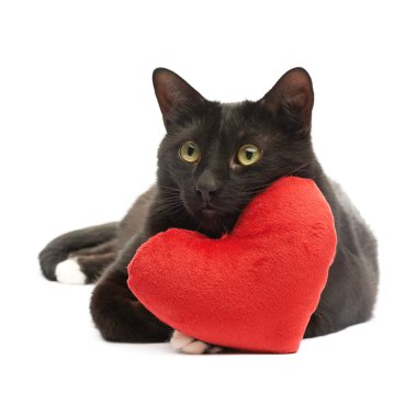 Kara kedi ve kırmızı kalp