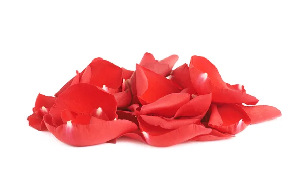 Composition des pétales de rose rouge — Photo