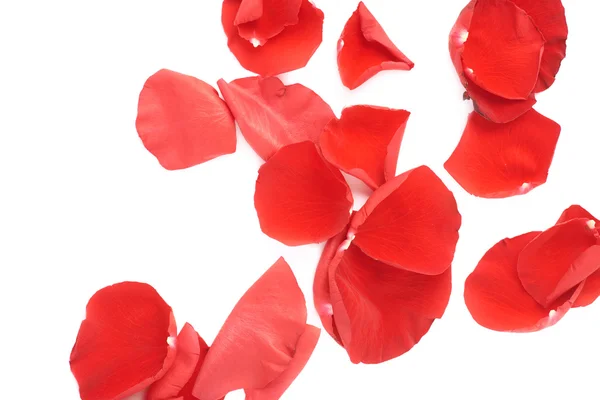 Red rose petals — Stock Photo, Image