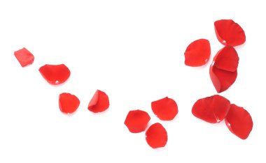 kırmızı gül yaprakları