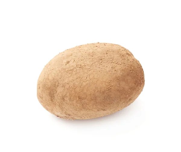 Kirli dünya patates — Stok fotoğraf