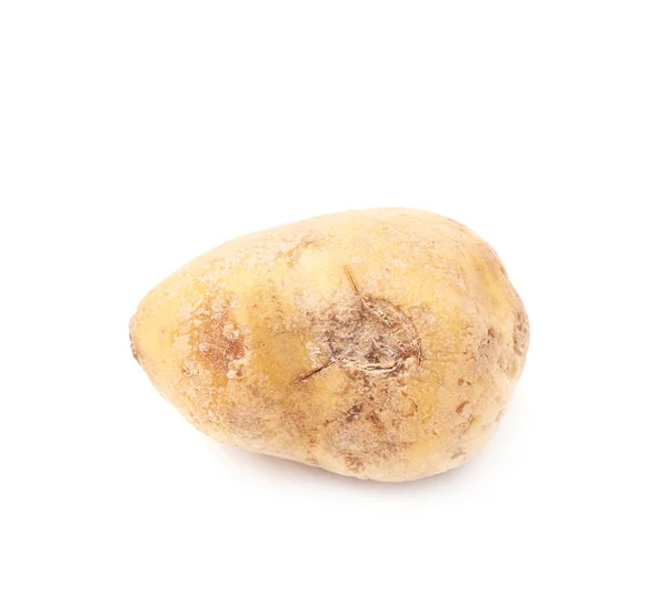 Spoiled brown potato — Stock Photo, Image