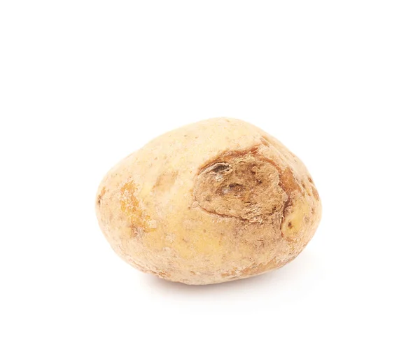 Зіпсований коричневий картопля — стокове фото