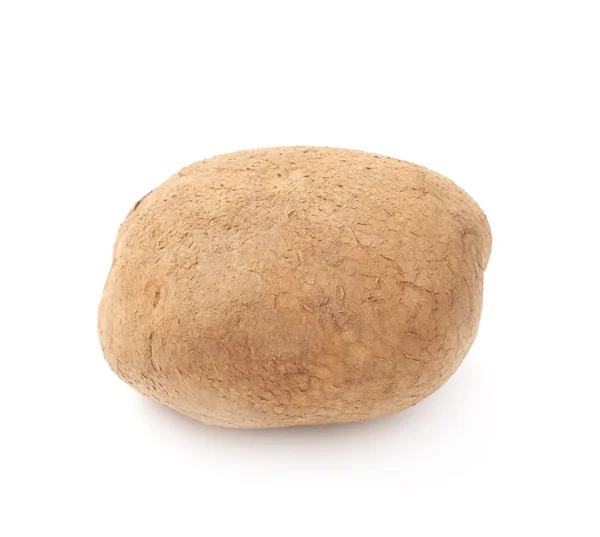 Dirty earth potato Stock Image