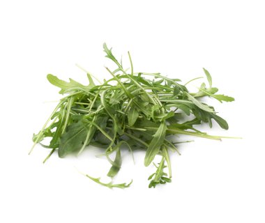 Eruca sativa rucola roket salata