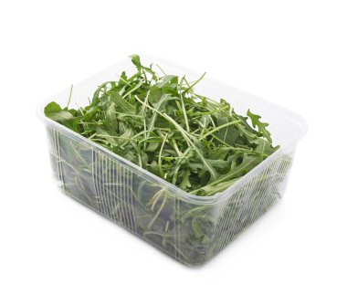 Eruca sativa rucola roket salata