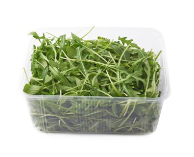 Eruca sativa rucola roket salata