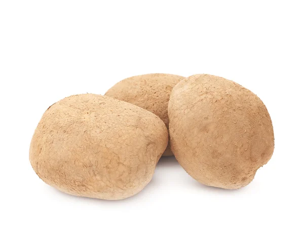 Kupie ziemniaki brudnej ziemi — Zdjęcie stockowe