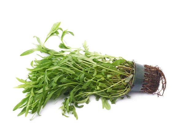 Листя шпинату травами — стокове фото
