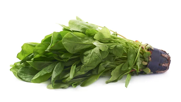 Spinach  herb leaves — Stock Photo, Image