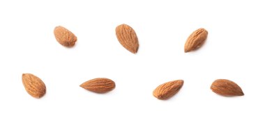 yedi badem tohumları kümesi