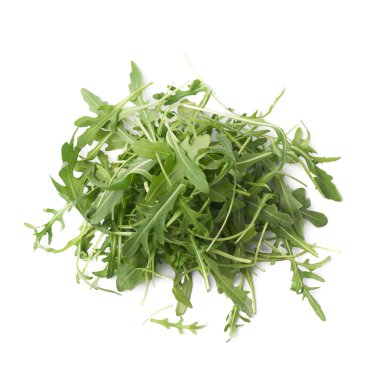Eruca sativa rucola roket salata