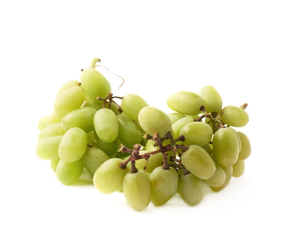 Branch of the white grapes — Stock Photo, Image