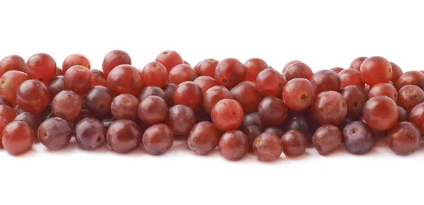 Line made of dark grapes — Stock Photo, Image