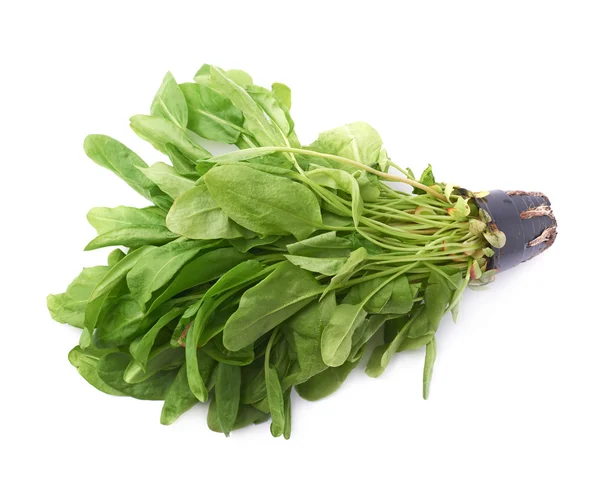 Zelené listy špenátu — Stock fotografie