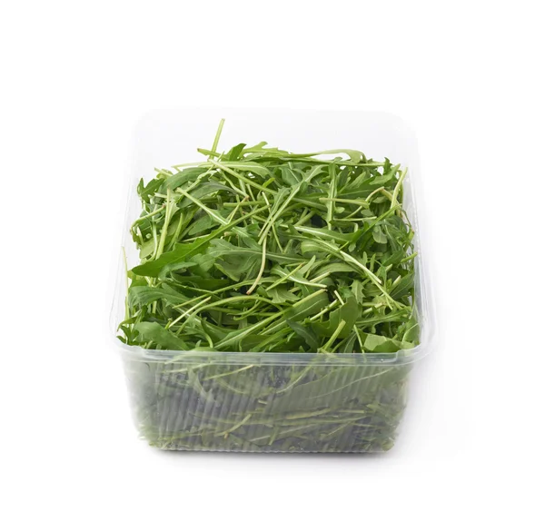 Eruca sativa rucola rocket salad — Stock Photo, Image